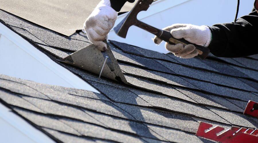 Local Siding Services in Alligator, MS